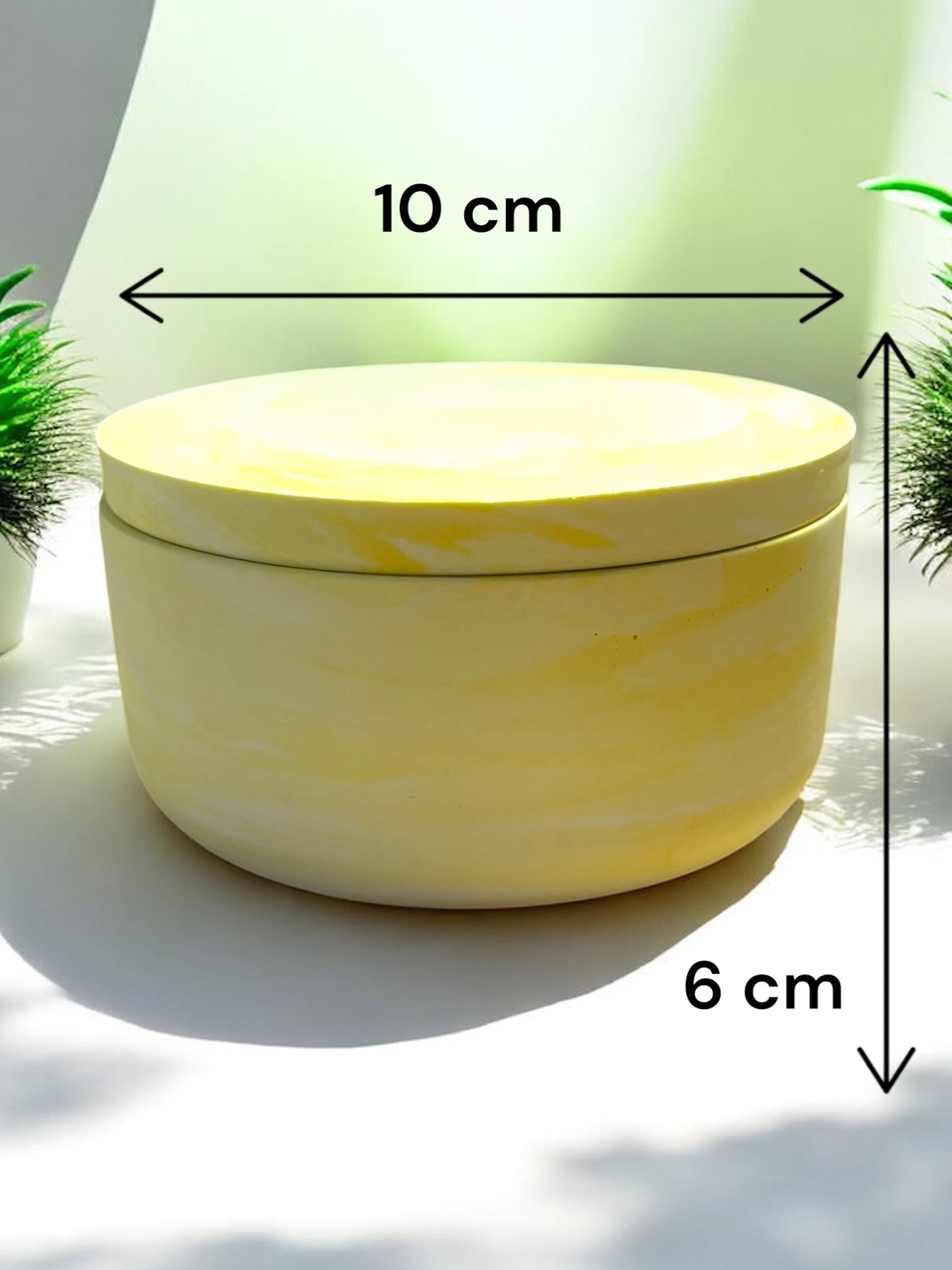 Contenitore rotondo con coperchio in gesso