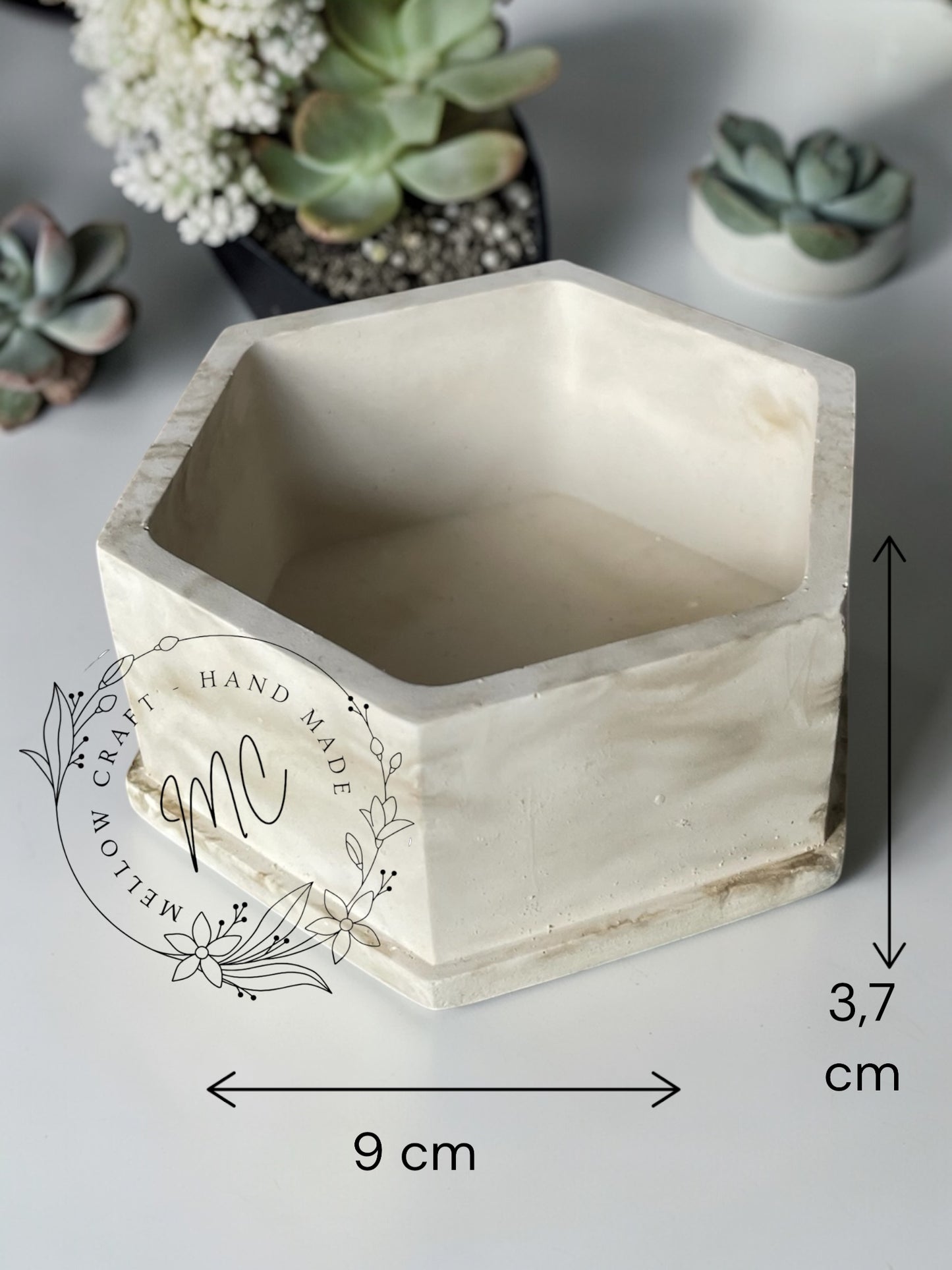 Contenitori in Gesso Colorato